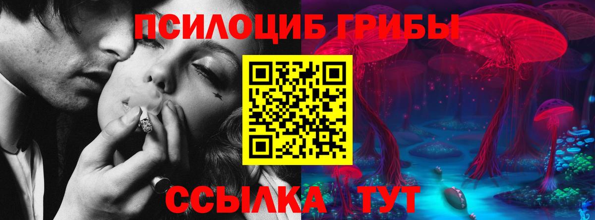 Гашиш Карачаевск